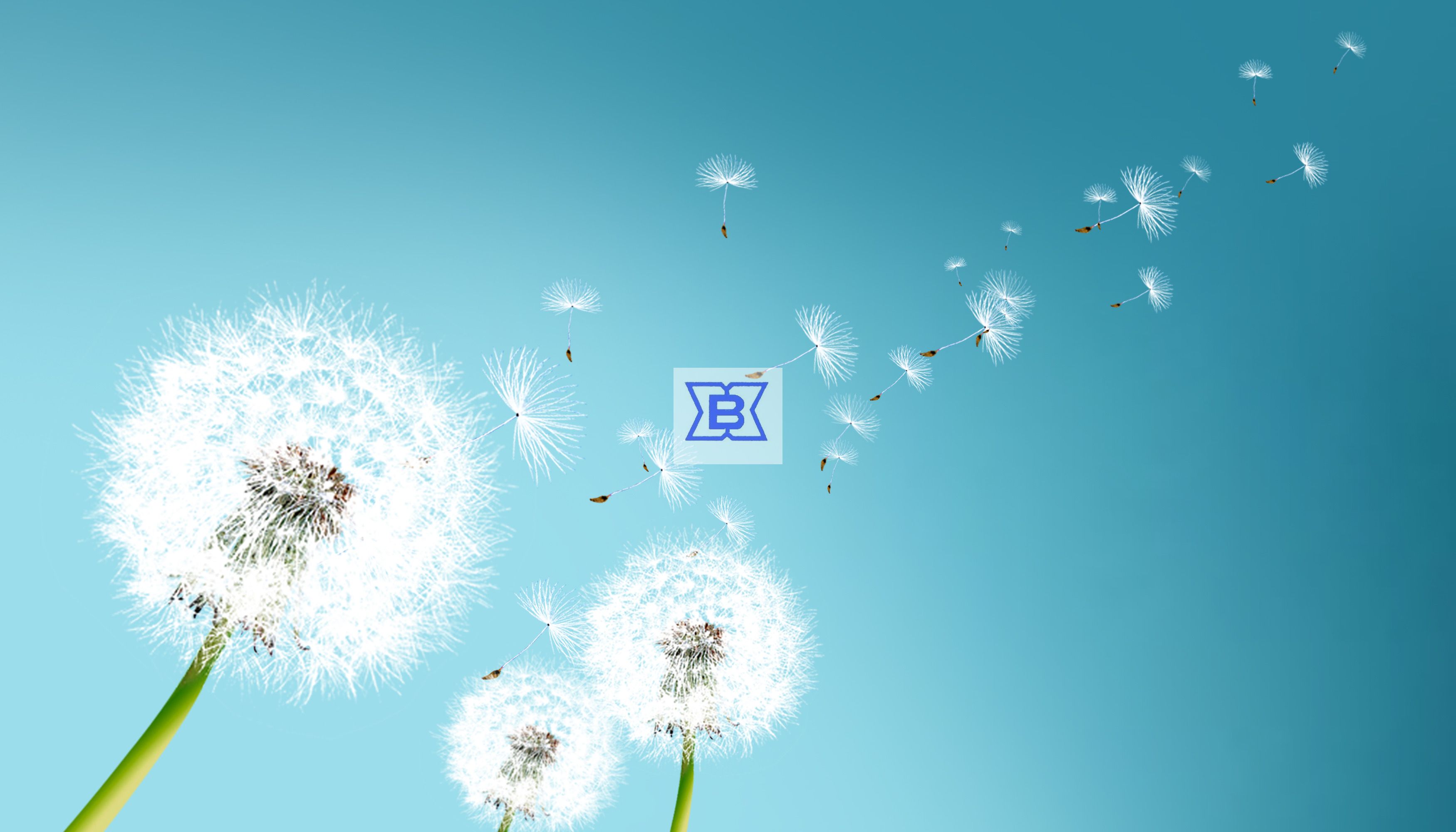 德赢·(VWIN)官方网站-AC米兰官方相助同伴